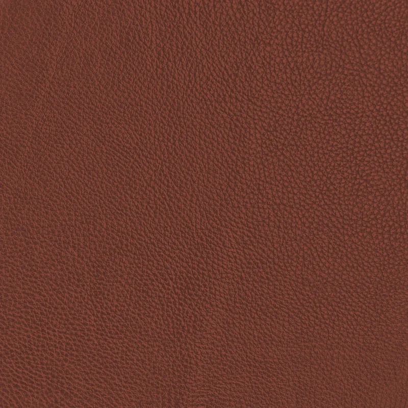Cognac leather