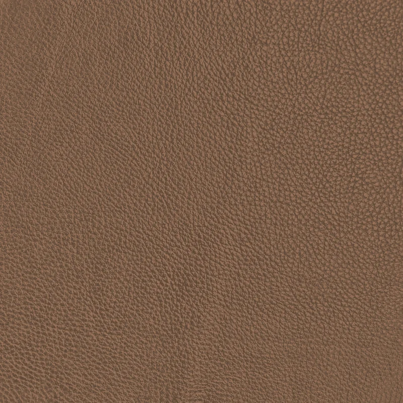 Camel leather