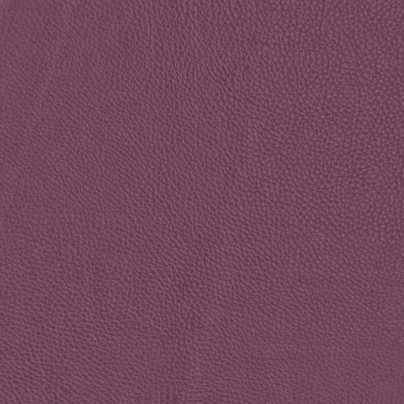 Eggplant leather
